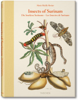 Maria Sibylla Merian. Insects of Surinam