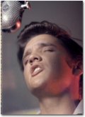 Alfred Wertheimer. Elvis and the Birth of Rock and Roll (Collector's Edition) Alfred Wertheimer. Elvis and the Birth of Rock and Roll (Collector's Edition)