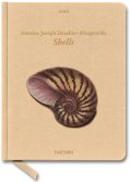 Shells 2010