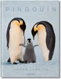 Frans Lanting. Pingouin Frans Lanting. Pingouin