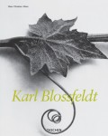 Karl Blossfeldt Karl Blossfeldt