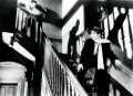 What is 'Noir'?