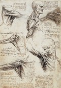 The artist and science