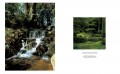 Japanese Gardens 4