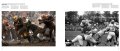 Guts & Glory: Golden Age of American Football, Art Ed. Ameche 12 Guts & Glory: Golden Age of American Football, Art Ed. Ameche 12