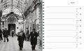 Doisneau, Paris 2010 1