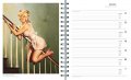 Elvgren, Pin-Ups 2010 1