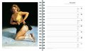Elvgren, Pin-Ups 2010 6