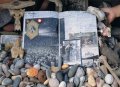 Peter Beard 4 Peter Beard 4
