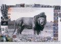 Peter Beard 9 Peter Beard 9