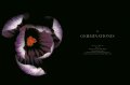 Edvard Koinberg: Herbarium Amoris. Floral Romance 4 Edvard Koinberg: Herbarium Amoris. Floral Romance 4