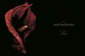 Edvard Koinberg: Herbarium Amoris. Floral Romance 10 Edvard Koinberg: Herbarium Amoris. Floral Romance 10