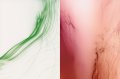 Wolfgang Tillmans, truth study center 1