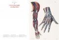 Atlas of Anatomy 6 Atlas of Anatomy 6