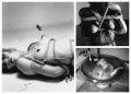 Araki 2