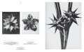 Karl Blossfeldt. The Complete Published Work. 1