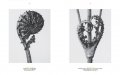 Karl Blossfeldt. The Complete Published Work. 2