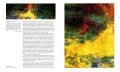 Monet 6