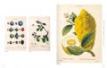 Garden of Eden. 100 Masterpieces of Botanical Illustration 5