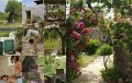 Great Yoga Retreats 4
