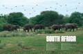 Inside Africa Vol. 2 1 Inside Africa Vol. 2 1