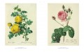 Roses 2 Roses 2