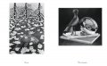 M.C. Escher - The Graphic Work 4