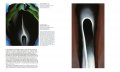 O'Keeffe 3