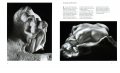Rodin - Skulpturen und Zeichnungen 3