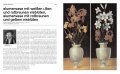 Still Life 1