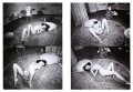 Araki 2