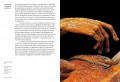 Encyclopaedia Anatomica 1 Encyclopaedia Anatomica 1