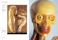 Encyclopaedia Anatomica 2 Encyclopaedia Anatomica 2