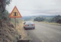 1000 Signs 5