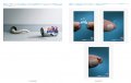 Advertising Now! Print 8