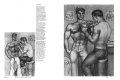 Beefcake 2