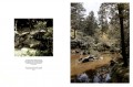 Japanese Gardens 2