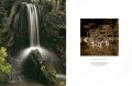 Japanese Gardens 3