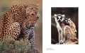 Frans Lanting - Eye to Eye 5