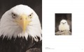 Frans Lanting - Eye to Eye 7