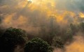 Frans Lanting - Jungles 2