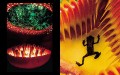 Frans Lanting - Jungles 5