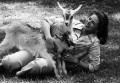 Ingrid Bergman 6 Ingrid Bergman 6