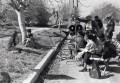 Charlie Chaplin 5