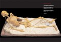 Encyclopaedia Anatomica 2