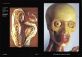Encyclopaedia Anatomica 3