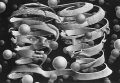 M.C. Escher 4