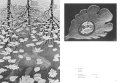 M.C. Escher 5