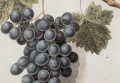 The Book of Fruits 1