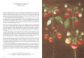 The Book of Fruits 2